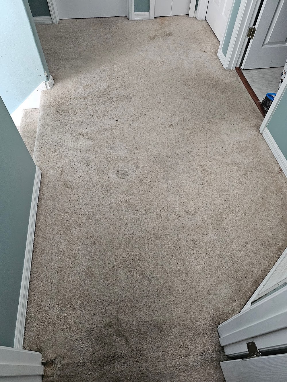 CitruSolution Carpet & Upholstery Cleaning of Tampa