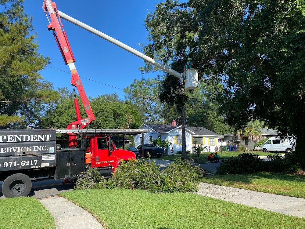 Independent Tree Service, Inc.