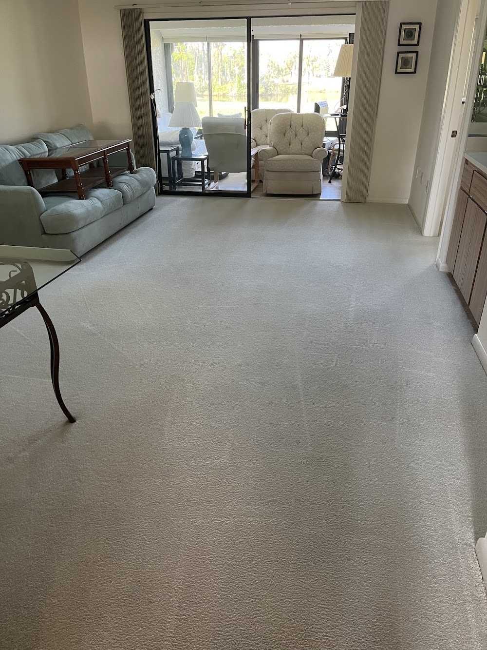 Zerorez Carpet Cleaning Tampa